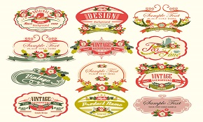 12 beautiful flowers label vector